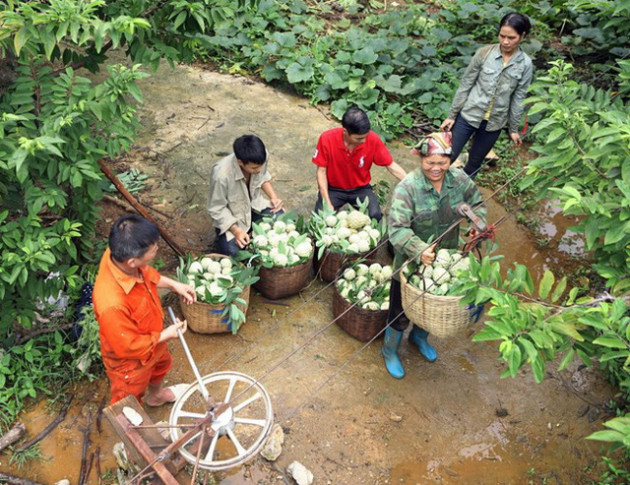 [Photo] Lạng Sơn được mùa na, sản lượng ước đạt hơn 30.000 tấn - Ảnh 5.