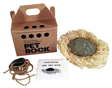 Phụ huynh đau đầu việc nuôi thú cưng của con trẻ? Đã có thú cưng đá Pet Rock, không cần đồ ăn, khỏi lo dọn phân: Case study bán hàng kinh điển nhất của thế kỷ 20 - Ảnh 4.