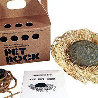 Phụ huynh đau đầu việc nuôi thú cưng của con trẻ? Đã có "thú cưng đá" Pet Rock, không cần đồ ăn, khỏi lo dọn phân: Case study bán hàng kinh điển nhất của thế kỷ 20