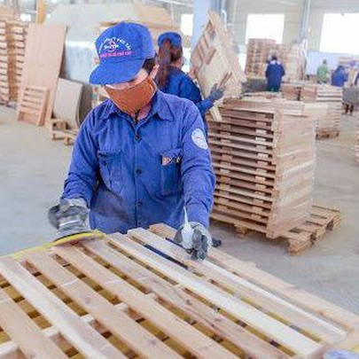 Phú Tài (PTB): Lợi nhuận nửa đầu năm 2022 tăng 31% so với cùng kỳ, đặt mục tiêu lãi 540 tỷ đồng sau 9 tháng