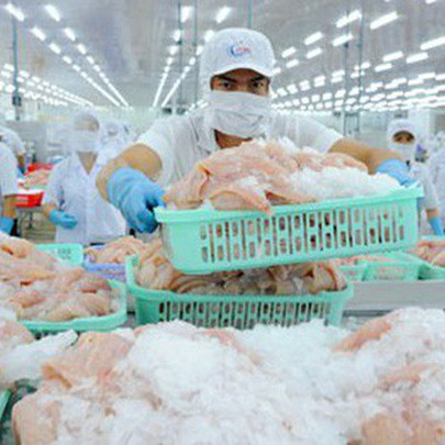Phụ thuộc thị trường Trung Quốc sẽ lắm bất lợi