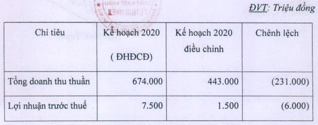 Pitco (PIT): Dự kiến điều chỉnh giảm mạnh các chỉ tiêu kinh doanh 2020 - Ảnh 1.