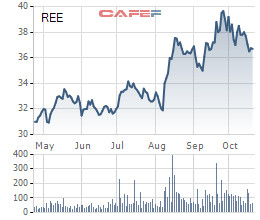 Platium Victory đăng ký mua hơn 31 triệu cổ phiếu REE - Ảnh 1.
