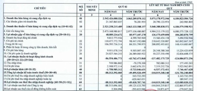Pomina (POM) lỗ tiếp 88 tỷ đồng trong quý 2, nâng tổng lỗ 6 tháng đầu năm lên 144 tỷ đồng - Ảnh 1.
