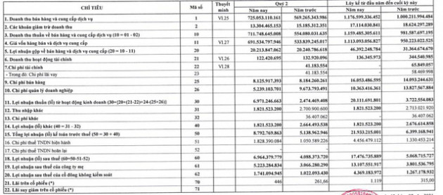 PSE: Nửa đầu năm báo lãi 17,5 tỷ đồng, cao gấp 2,2 lần chỉ tiêu kế hoạch cả năm - Ảnh 1.