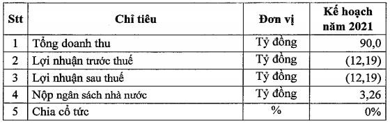 PV Coating (PVB): Bất ngờ đặt mục tiêu lỗ 12 tỷ đồng trong năm 2021 - Ảnh 2.