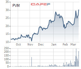 PV Power bán khớp lệnh gần 20 triệu cổ phần PV Machino kể từ 12/3 - Ảnh 1.
