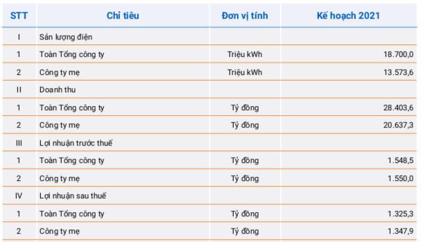 PV Power dự kiến triển khai đầu tư Nhà máy điện Nhơn Trạch 3&4, đặt kế hoạch lãi trước thuế 1.549 tỷ đồng trong năm 2021 - Ảnh 1.