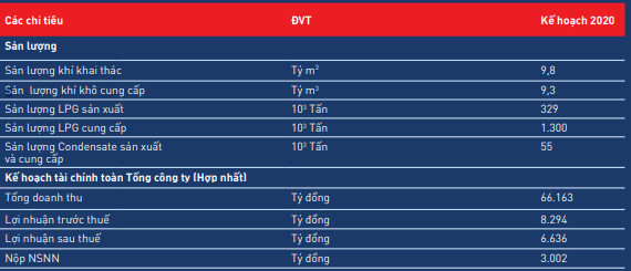 PVGas (GAS) đặt mục tiêu lãi sau thuế 6.636 tỷ đồng trong năm 2020 - Ảnh 2.