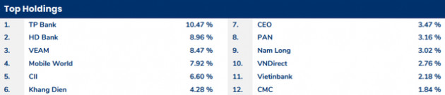 Pyn Elite Fund nắm giữ tiền mặt cao kỷ lục, đẩy mạnh bán MWG trong tháng 11 - Ảnh 2.