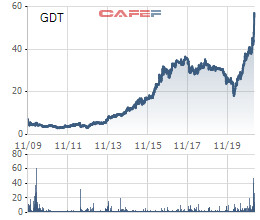 Pyn Elite Fund thoái vốn, cổ phiếu Gỗ Đức Thành (GDT) lập đỉnh lịch sử - Ảnh 1.