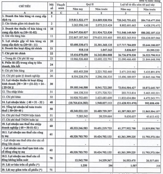 QNC: Quý 2 lãi 48 tỷ đồng, cao gấp gần 5 lần cùng kỳ - Ảnh 1.