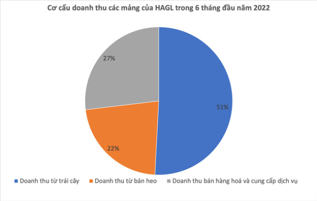 Quả chuối, con heo có thực sự đang giúp bầu Đức cứu HAGL thoát lỗ? - Ảnh 1.