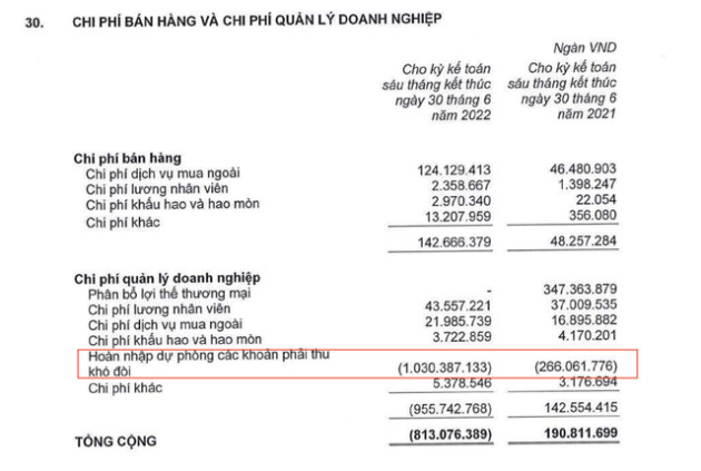 Quả chuối, con heo có thực sự đang giúp bầu Đức cứu HAGL thoát lỗ? - Ảnh 2.