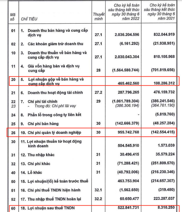 Quả chuối, con heo có thực sự đang giúp bầu Đức cứu HAGL thoát lỗ? - Ảnh 3.