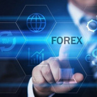 Quản lý đầu tư Forex và Tiền ảo (bài 3): Hàng trăm nhà đầu tư “sập bẫy” sàn GardenBO