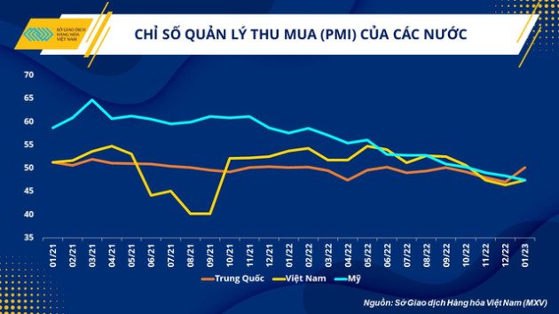 Quặng sắt – dầu thô: đâu là hàng hóa có bước chạy đà tốt từ đầu năm tới nay? - Ảnh 2.