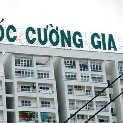 Quốc Cường Gia Lai (QCG): Doanh thu đột biến nhờ bàn giao dự án, lãi ròng vẫn giảm mạnh 43% trong quý 1/2021