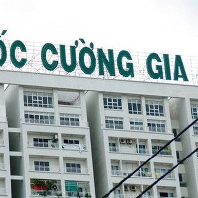 Quốc Cường Gia Lai (QCG): Doanh thu tăng bằng lần, quý 2/2020 vẫn lỗ ròng 4 tỷ đồng