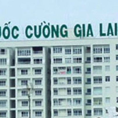 Quốc Cường Gia Lai (QCG) giảm một nửa vốn tại công ty BĐS mới thành lập năm trước