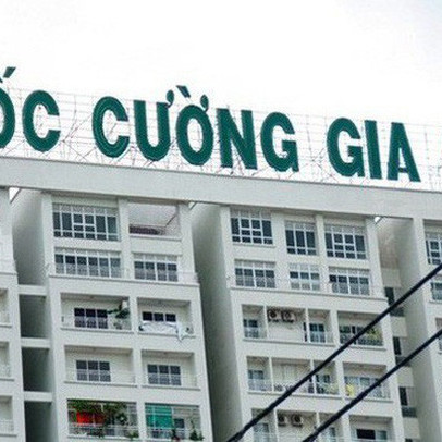 Quốc Cường Gia Lai (QCG): Lãi ròng giảm 29% sau soát xét, nguyên nhân do ghi nhầm số thuế phải nộp