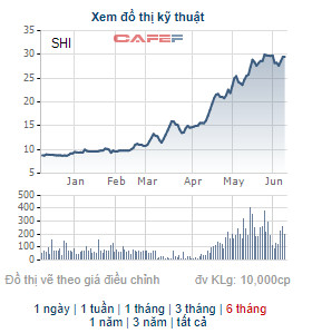 Quốc tế Sơn Hà (SHI) thông qua phương án phát hành hơn 9 triệu cổ phiếu trả cổ tức - Ảnh 1.