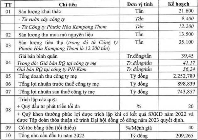 Quý 1 lãi đột biến, Cao su Phước Hòa (PHR) tiếp tục đề kế hoạch LNTT riêng gấp gần 5 lần trong quý 2/2022 - Ảnh 1.