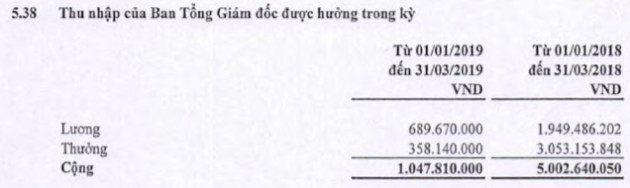 Quý 1/2019, công ty mẹ CII chịu lỗ 5,5 tỷ đồng - Ảnh 2.