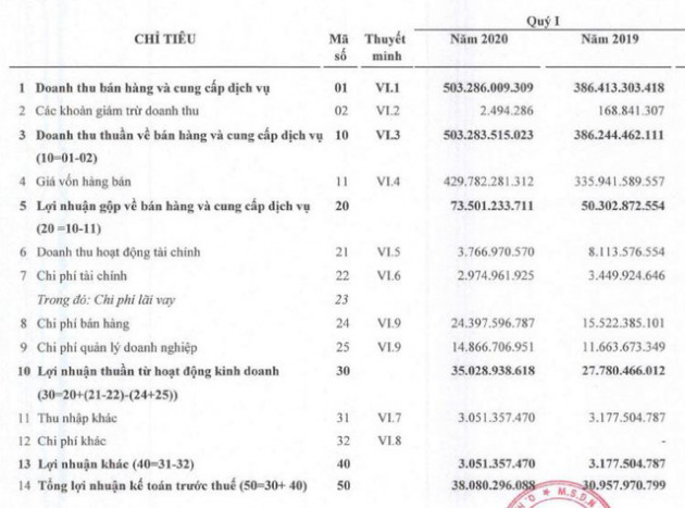 Quý 1/2020, công ty mẹ Dược Hà Tây lãi 30 tỷ đồng tăng 20% so với cùng kỳ - Ảnh 1.