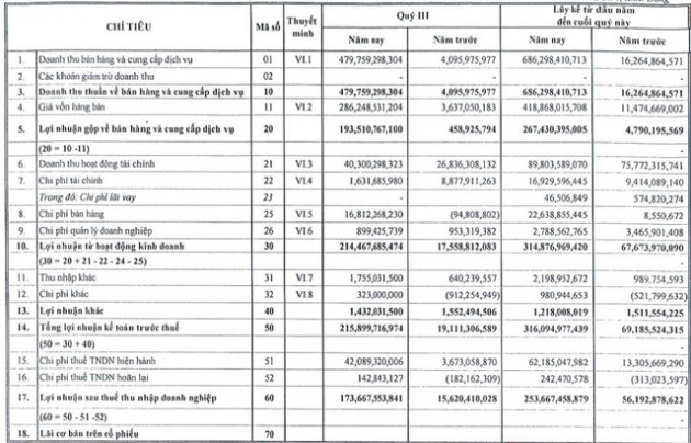 Quý 3, Công ty mẹ Nhà Đà Nẵng lãi sau thuế 174 tỷ đồng cao gấp 11 lần cùng kỳ - Ảnh 1.