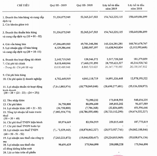 Quý 3/2019 lỗ thêm 7 tỷ đồng, DDM chìm đắm trong thua lỗ 30 quý liên tiếp - Ảnh 1.