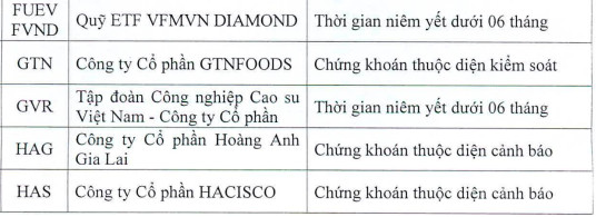 Quý 3/2020, HoSE cắt margin đối với 59 mã chứng khoán - Ảnh 3.