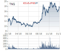 Quý 4/2018, TNG lãi 50 tỷ đồng tăng 83% so với cùng kỳ - Ảnh 1.