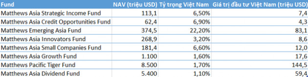 Quỹ chuyên đầu tư vào thị trường Châu Á với quy mô gần 30 tỷ USD đẩy mạnh giải ngân cổ phiếu Việt Nam - Ảnh 5.
