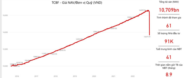 Quy mô tài sản giảm hàng nghìn tỷ đồng, quỹ đầu tư trái phiếu Techcombank (TCBF) đang nắm những gì? - Ảnh 1.