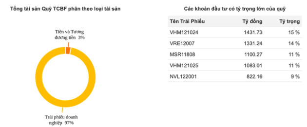 Quy mô tài sản giảm hàng nghìn tỷ đồng, quỹ đầu tư trái phiếu Techcombank (TCBF) đang nắm những gì? - Ảnh 2.