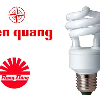 Rạng Đông (RAL) - Điện Quang (DQC) và khoảng cách 10 năm ngày càng lớn: Bên miệt mài tăng trưởng, bên tìm hướng đi mới