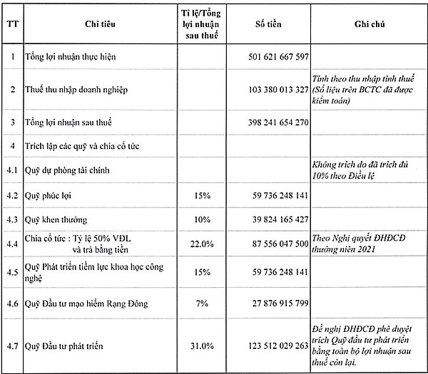 Rạng Đông trình kế hoạch cổ tức năm 2021 tỷ lệ 50% bằng tiền - Ảnh 1.