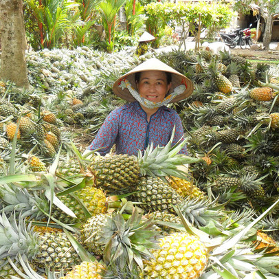 RCEP có mở ra cơ hội tăng xuất khẩu rau quả, giảm rủi ro cho doanh nghiệp vào thị trường Trung Quốc?