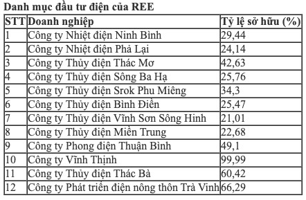 REE chấm dứt dự án thương mại tại Singapore, đẩy mạnh M&A mảng điện nước - Ảnh 1.