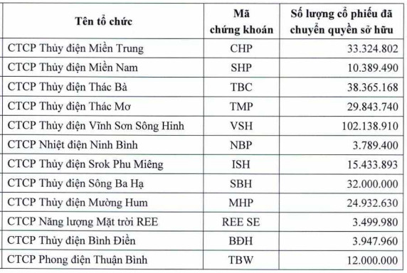 REE hoàn tất chuyển giao danh mục cổ phiếu năng lượng trị giá hơn 6.000 tỷ đồng sang công ty con - Ảnh 1.