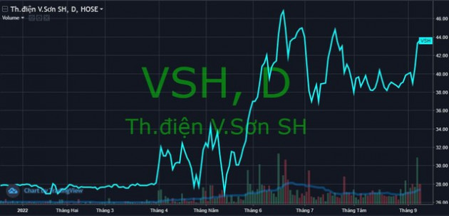 REE muốn gom thêm 4 triệu cổ phiếu của Thủy điện Vĩnh Sơn – Sông Hinh (VSH) - Ảnh 1.