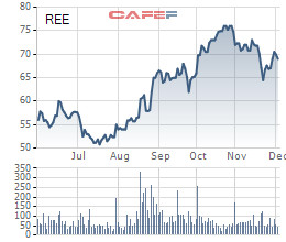 REE: Quỹ Singapore muốn mua thêm 12 triệu cổ phiếu, nâng sở hữu lên gần 35% vốn - Ảnh 1.