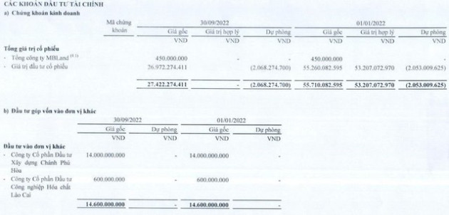 Rót thêm tiền đầu tư chứng khoán, một doanh nghiệp gỗ báo lãi quý 3/2022 giảm 29% - Ảnh 2.