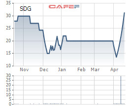 Sadico Cần Thơ (SDG) bất ngờ tăng trần 9 phiên liên tiếp; sắp trả cổ tức 20% bằng tiền mặt - Ảnh 2.