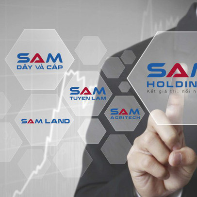 SAM Holdings giảm phân nửa lãi ròng về 3,5 tỷ đồng, không còn doanh thu bất động sản