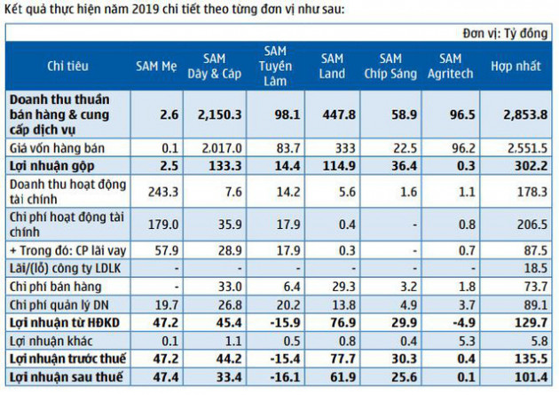 Sam Holdings (SAM): Năm 2020 đặt mục tiêu lãi 124 tỷ đồng giảm 8% - Ảnh 2.