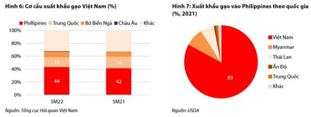 Sản lượng xuất khẩu tăng, triển vọng tươi sáng nửa cuối năm 2022 cho các doanh nghiệp gạo - Ảnh 4.