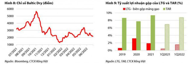 Sản lượng xuất khẩu tăng, triển vọng tươi sáng nửa cuối năm 2022 cho các doanh nghiệp gạo - Ảnh 5.