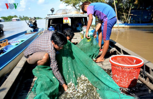 Sản vật mùa nước nổi đồng bằng sông Cửu Long - Ảnh 2.